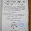 Summa summae S. Thomae, sive, Compendium theologiae