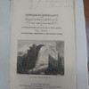 History of sculpture, painting, and architecture
