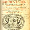Commentarius in sacram scripturam