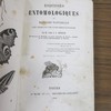 Esquisses entomologiques ou Histoire naturelle des insectes les plus remarquables