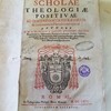 Scholae theologiae positivae ad doctrinam catholicorum et confutationem haereticorum apertae...