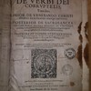 Commentariorum de verbi dei, tomi duo, prior de venerando Christi domini praecursor Joanne Baptista, posterior de sacrosancta virgine Maria deipara disserit, et utriusque personae historiam omnem adversus centuriatores Magdeburgicos aliosq; Catholicae ecclesiae hostes diserte vindicat