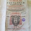 Scholae theologiae positivae ad doctrinam catholicorum et confutationem haereticorum apertae...