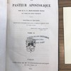 Le pasteur apostolique